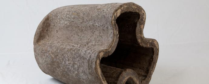 Dung - Rayah Wauters