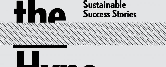 Beyond the Hype_sustainable success stories - Cover by Koehorst In't Veld