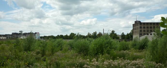 REcentre opens temporary park in Maastricht (NL)