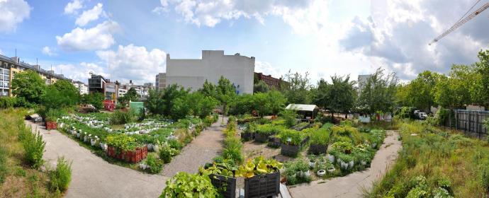 Community Garden